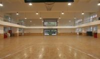 室內籃球場木地板 籃球木地板