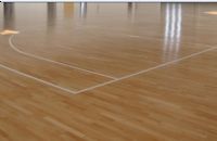 籃球場運動木地板 籃球專用地板